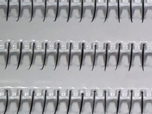 アイラッシュ シングル ショート ブラック
