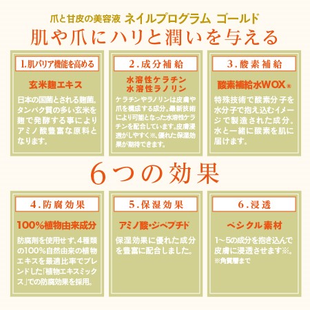 ネイルプログラムゴールド