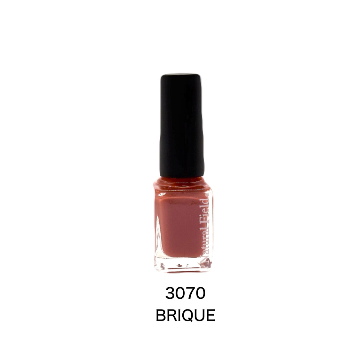 BRIQUE （ブリック）