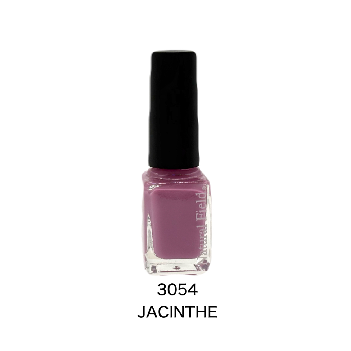 JACINTHE （ジャサント）