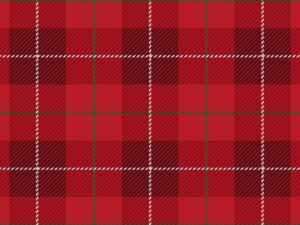 【簡単】3種のチェック柄ネイルのやりかたとデザインのコツ！秋冬感を出すポイントも紹介