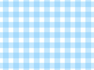 【簡単】3種のチェック柄ネイルのやりかたとデザインのコツ！秋冬感を出すポイントも紹介