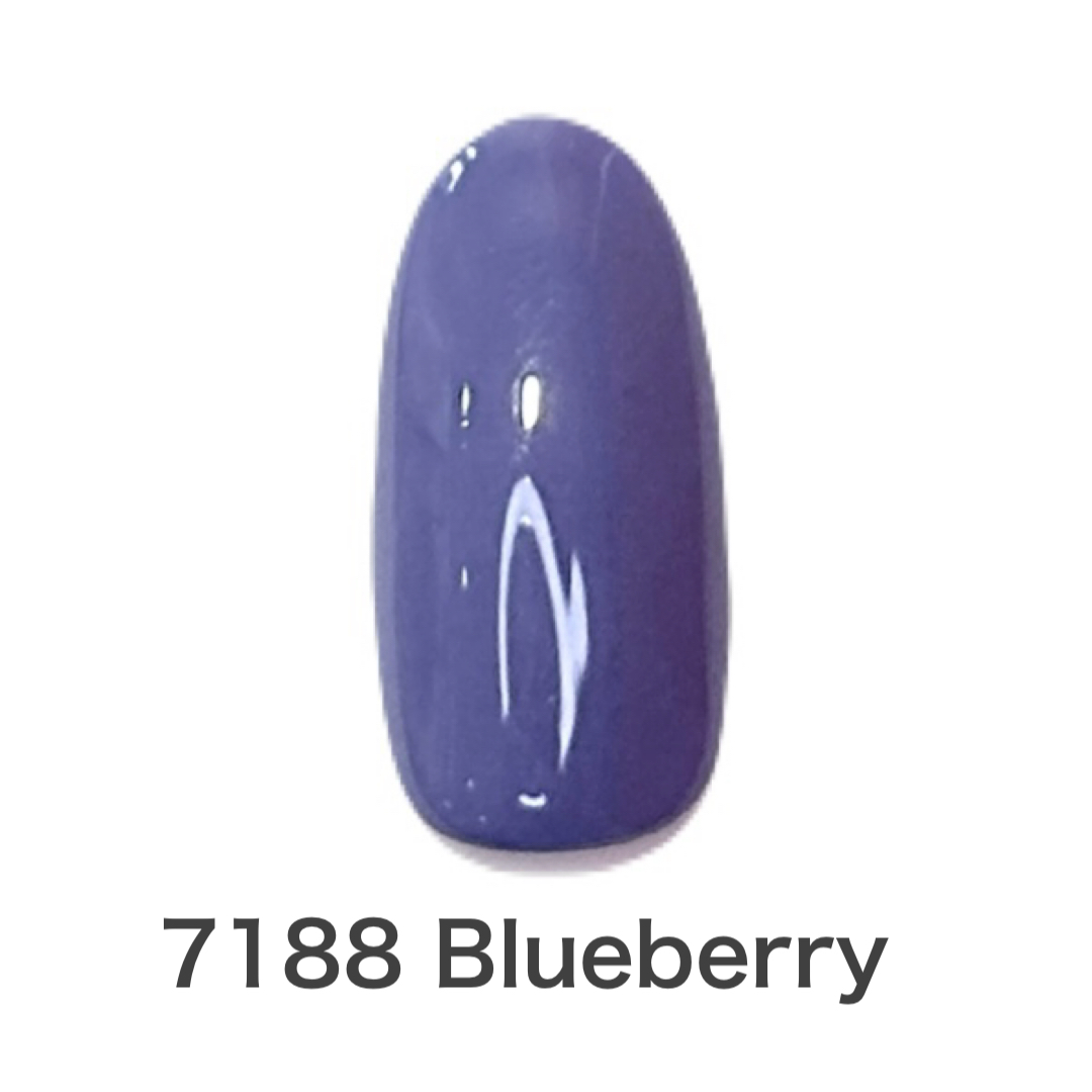 Blueberry
