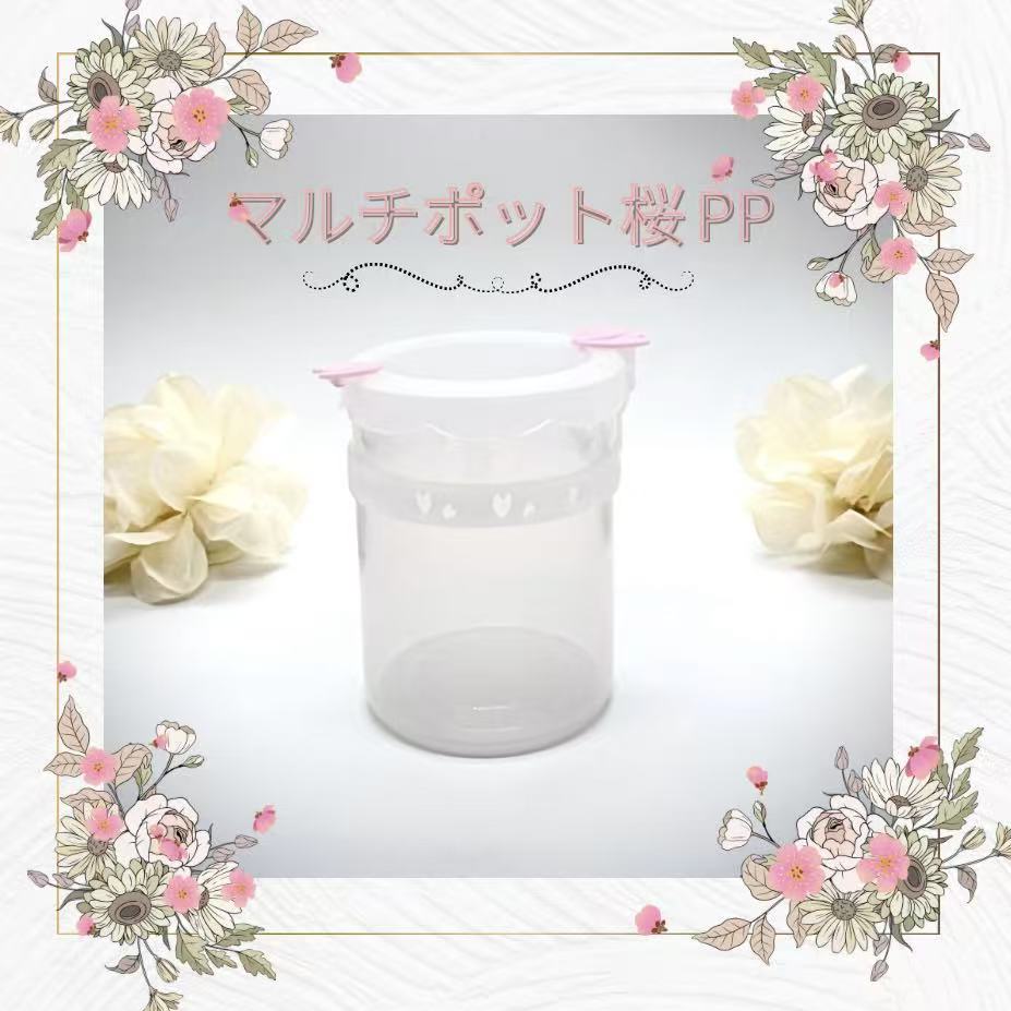 マルチポット桜 PP